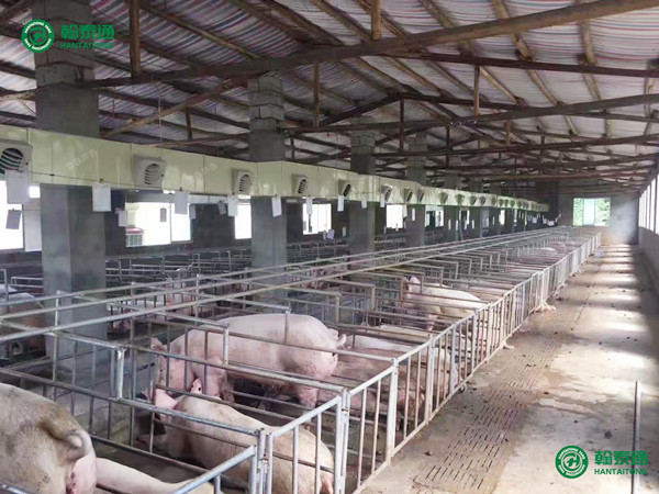 畜牧养殖用水冷空调降温通风